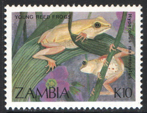 Zambia Scott 465 MNH - Click Image to Close